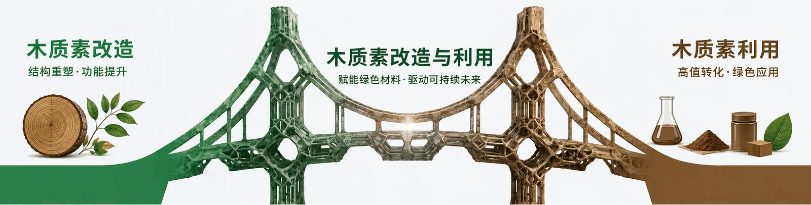 Research roadmap for lignin modification and utilization